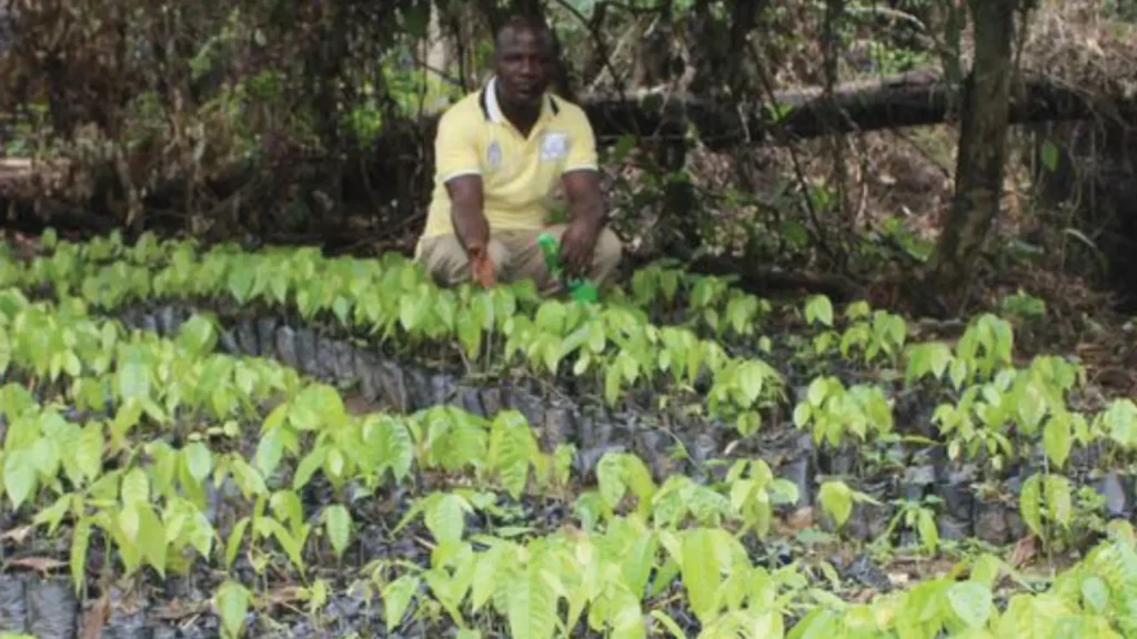 Ojaja Farm
